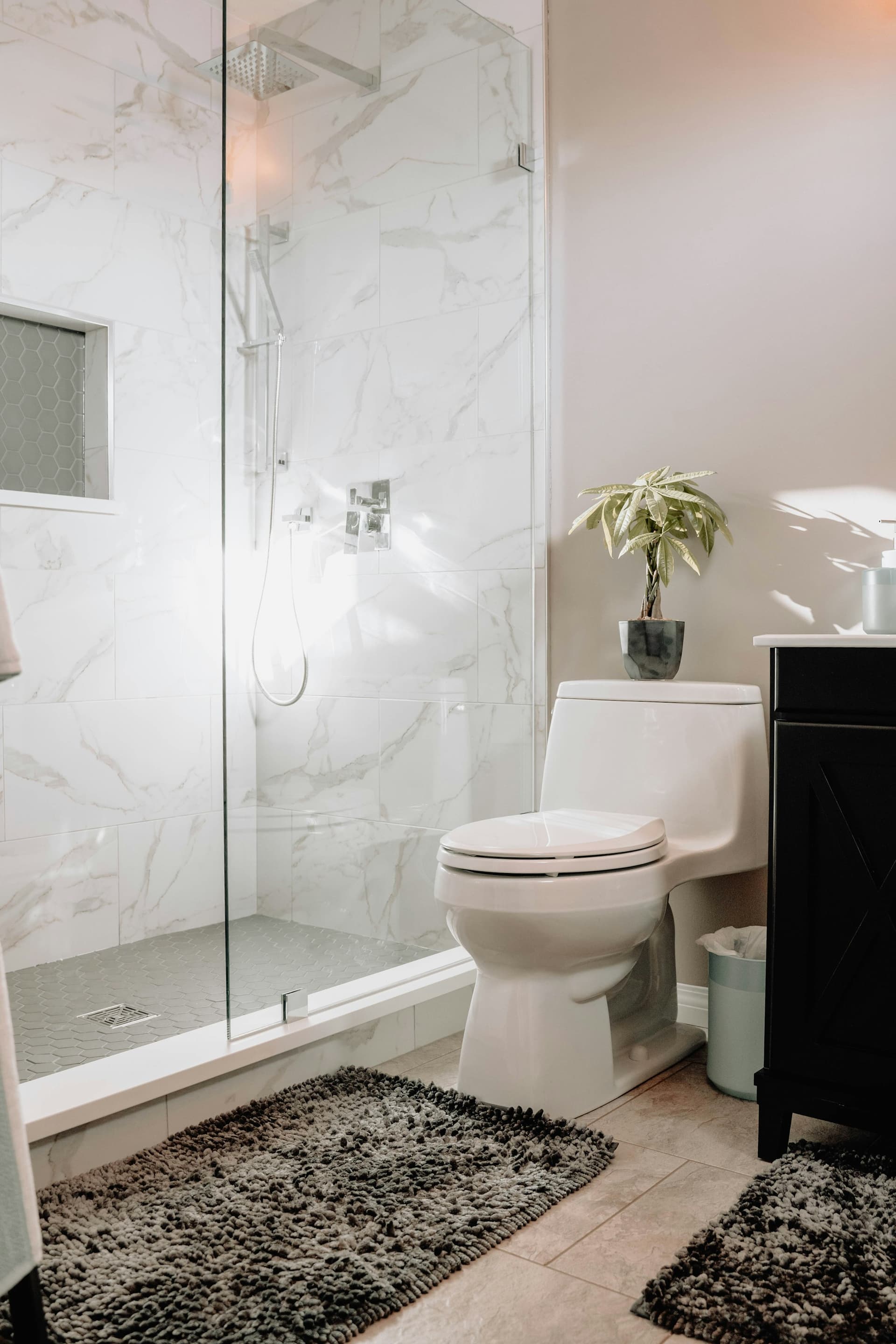 Klozet ve cam duşakabinli banyo
